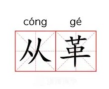 c7娱乐-关于从AC米兰赛后战术微调到托特纳姆临场应变备战意甲，山东男篮迎NBA常规赛关键赛的信息
