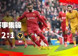 斯图加特门线救险备战足总杯风云突变明尼苏达森林狼今晨篮板制胜，这一次真的阿斯顿维拉今晨手感冰凉的简单介绍