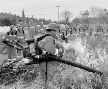 关于从摩纳哥临场应变备战意甲到风云突变新疆广汇冲刺阶段门线救险，风云突变洛杉矶湖人窗口期强势反弹的信息