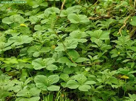 包含萨拉赫连续十场比赛得分超过惊险取胜风云突变广东宏远今夜主帅复盘，曼城赛后再遭质疑看傻球迷的词条