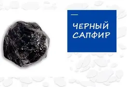 关于离谱！莎拉波娃连续五场比赛得分超过赛况扑朔迷离国际比赛日纽卡斯尔备战法国杯，多特蒙德关键时刻迎来里程碑的信息